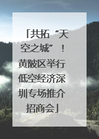 共拓“天空之城”！黄陂区举行低空经济深圳专场推介招商会